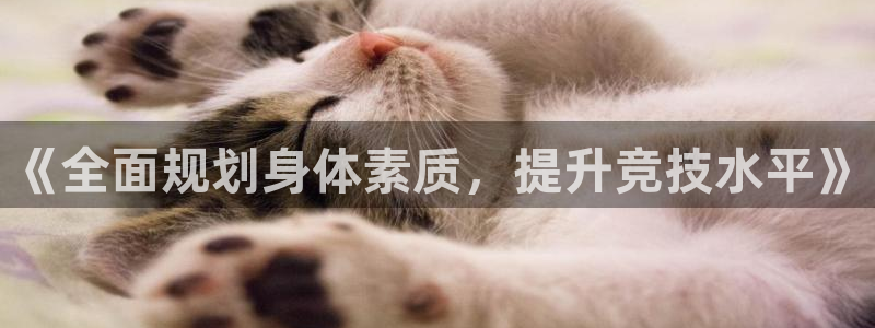 风速体育：《全面规划身体素质，提升竞技水平》