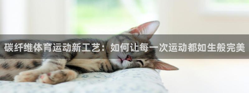 风速体育app下载安装最新版本：碳纤维体育运动新工艺：如何让每一次运动都如生般完美