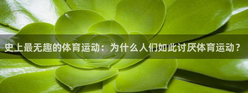 风速体育直播app：史上最无趣的体育运动：为什么人们如此讨厌体育运动？