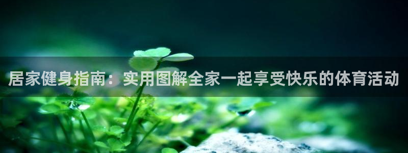 风速体育：居家健身指南：实用图解全家一起享受快乐的体育活动