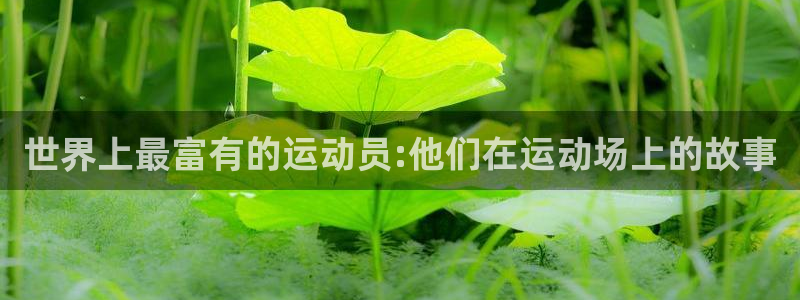 风速体育app下载安装最新版本：世界上最富有的运动员:他们在运动场上的故事