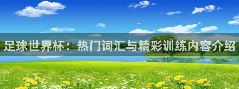 风速体育：足球世界杯：热门词汇与精彩训练内容介绍