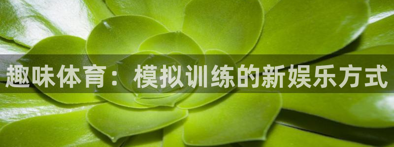 风速体育app：趣味体育：模拟训练的新娱乐方式