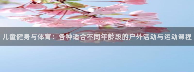 风速体育nba直播：儿童健身与体育：各种适合不同年龄段的户外活动与运动课程