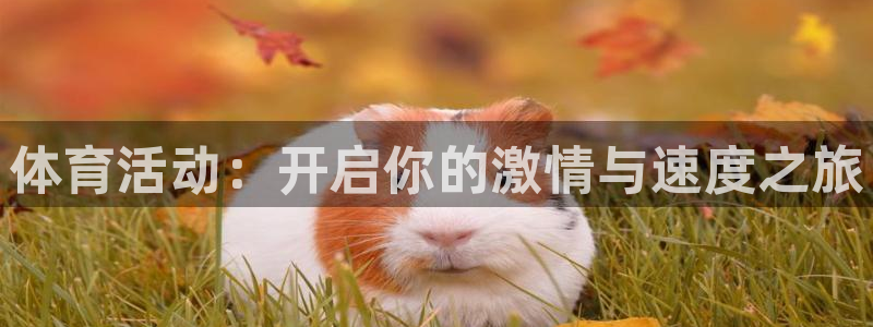 风速体育app官方下载：体育活动：开启你的激情与速度之旅