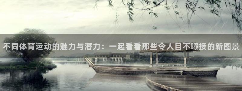 风速体育app：不同体育运动的魅力与潜力：一起看看那些令人目不暇接的新图景