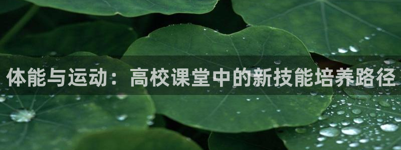 风速体育直播app：体能与运动：高校课堂中的新技能培养路径