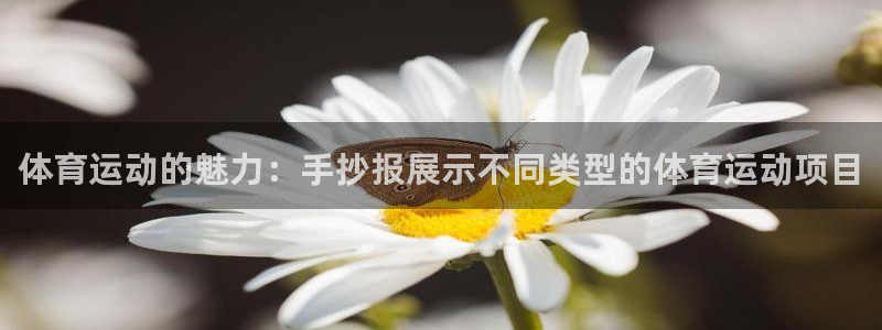 风速体育下载：体育运动的魅力：手抄报展示不同类型的体育运动项目