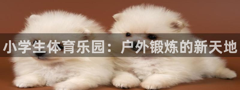 风速体育：小学生体育乐园：户外锻炼的新天地