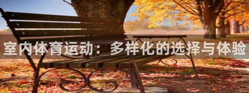 风速体育：室内体育运动：多样化的选择与体验