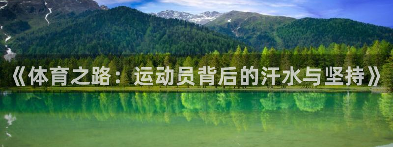 风速体育nba免费直播：《体育之路：运动员背后的汗水与坚持》