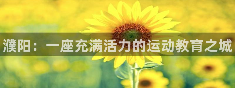 风速体育官网：濮阳：一座充满活力的运动教育之城