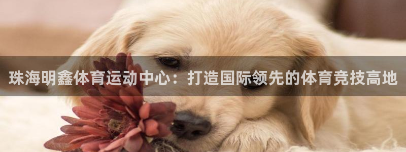 风速体育app下载官网最新版：珠海明鑫体育运动中心：打造国际领先的体育竞技高地