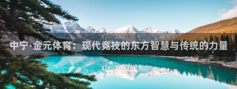 下载风速体育：中宁·金元体育：现代竞技的东方智慧与传统的力量