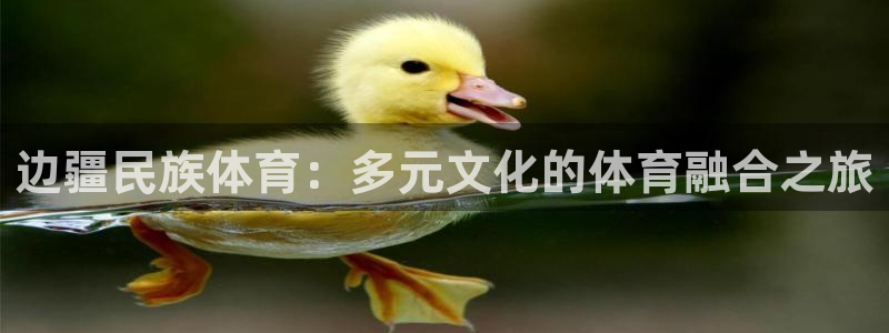 下载风速体育：边疆民族体育：多元文化的体育融合之旅